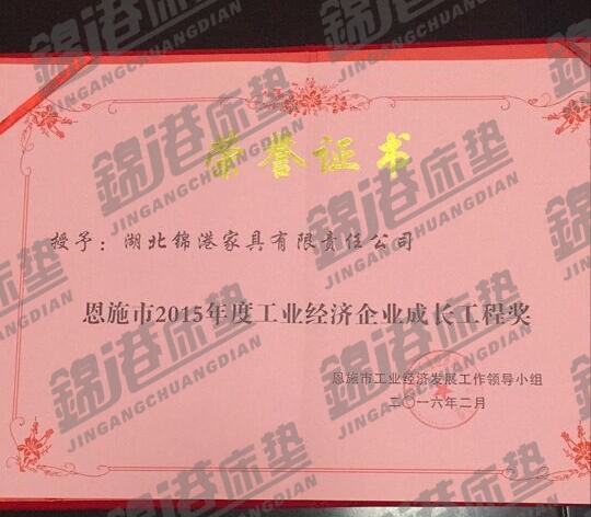 2015年度成長(zhǎng)工程獎(jiǎng)