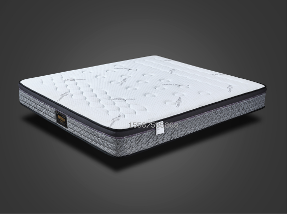 J2產(chǎn)品系列-J201D-環(huán)保棕墊-中老年專用